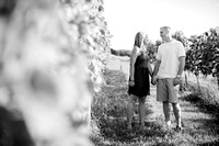 2012-07-28 // Sarah & Brendan // Engaged